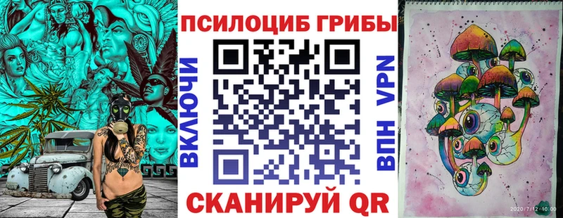 Псилоцибиновые грибы мицелий  купить наркотик  Салехард 